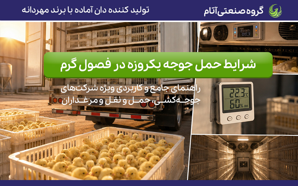 شرایط حمل جوجه یک‌روزه گوشتی در فصول گرم